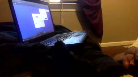 Snapshot of tierrahenri chatting on February 2, 2025, 3:49 pm Tierra Henri online show from February 2, 2025, 3:49 pm