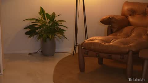 Snapshot of tifalock_ chatting on March 7, 2025, 9:06 pm Tifa online show from March 7, 2025, 9:06 pm