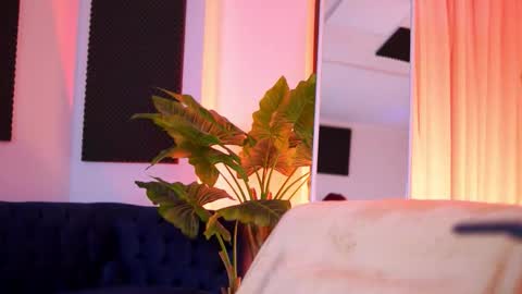 Tiff online show from March 1, 2026, 4:14 am