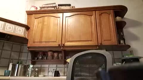 tigermatt76e online show from March 1, 2026, 6:32 pm