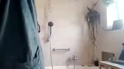 tigertrance online show from November 11, 2025, 10:26 am