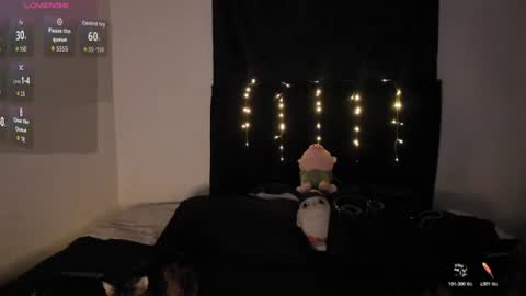 Snapshot of tim__fox chatting on June 24, 2026, 3:49 am Tim Fox online show from June 24, 2026, 3:49 am