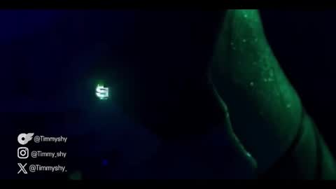 timmyshy online show from January 17, 2026, 10:02 pm