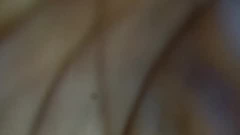 tinagiant online show from January 11, 2026, 4:45 pm