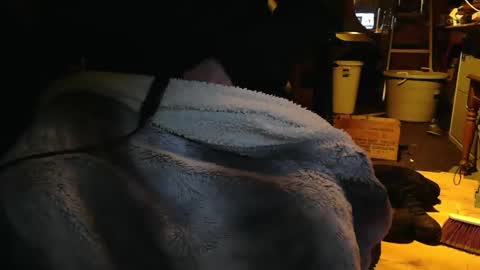 Snapshot of tinkertrain420 chatting on December 2, 2024, 9:56 am tinkertrain420 online show from December 2, 2024, 9:56 am