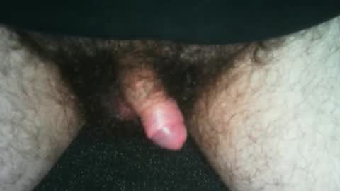 tinycocker online show from November 17, 2025, 11:21 pm