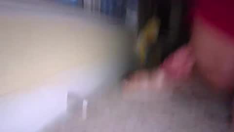 tj526316275 online show from January 9, 2025, 12:19 pm