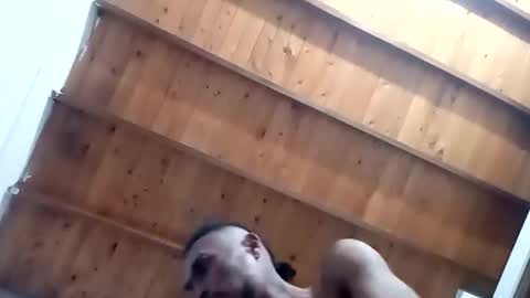 DESTROY.S online show from November 1, 2025, 5:20 am