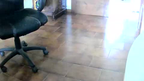 Tobiko online show from December 2, 2025, 1:17 pm