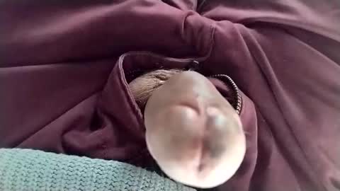 Snapshot of tomas_cum69 chatting on January 11, 2025, 8:32 pm Tomas online show from January 11, 2025, 8:32 pm