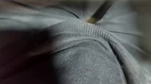 Snapshot of tomas_cum69 chatting on February 12, 2025, 10:37 pm Tomas online show from February 12, 2025, 10:37 pm