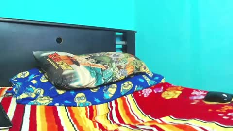 Andres. online show from February 11, 2025, 3:40 am