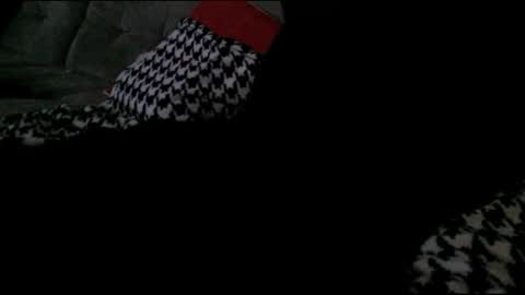 Bima online show from January 29, 2025, 7:04 am