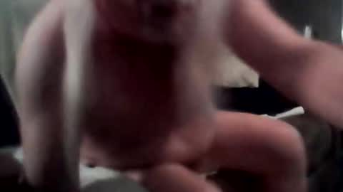 Snapshot of tommythayer2112 chatting on December 1, 2025, 3:50 pm tommythayer2112 online show from December 1, 2025, 3:50 pm