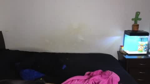 Snapshot of tony_and_sophia chatting on July 7, 2026, 12:02 am Sophia Tony online show from July 7, 2026, 12:02 am