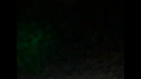 tonyd online show from January 4, 2025, 10:05 am