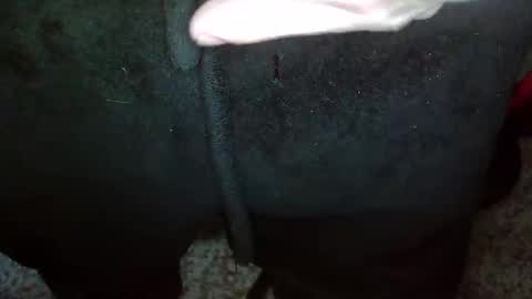 Topg84 online show from December 15, 2024, 2:59 pm