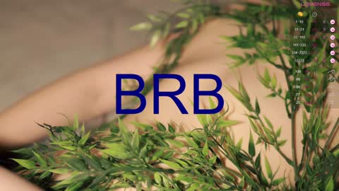 Toshi online show from December 15, 2024, 4:15 pm