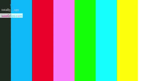 Snapshot of totally_spy chatting on March 3, 2025, 6:55 pm Madam Viktoria Vacation in Portugal 2811 - 0412 online show from March 3, 2025, 6:55 pm