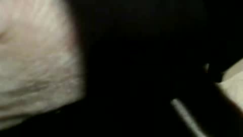 trailblazer1969 online show from March 7, 2026, 10:18 pm