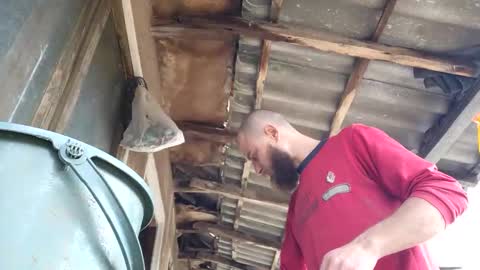 Snapshot of tralalabala chatting on March 5, 2026, 12:01 pm Tralalabala online show from March 5, 2026, 12:01 pm