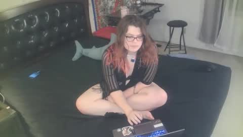 Snapshot of tranicpixiedreamgrl chatting on November 25, 2025, 2:00 am tranicpixiedreamgrl online show from November 25, 2025, 2:00 am