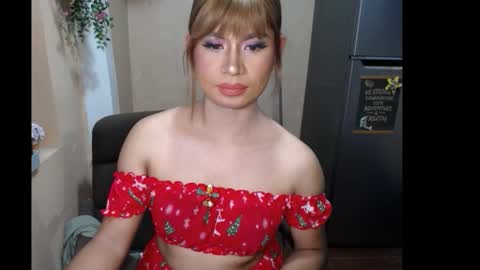 Snapshot of transdoll69 chatting on December 8, 2024, 2:39 am Dolly online show from December 8, 2024, 2:39 am