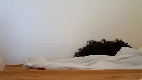 Snapshot of transexblackfat chatting on November 19, 2025, 1:33 pm transexblackfat online show from November 19, 2025, 1:33 pm