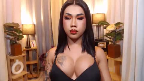 transpornidol online show from February 8, 2026, 3:48 pm