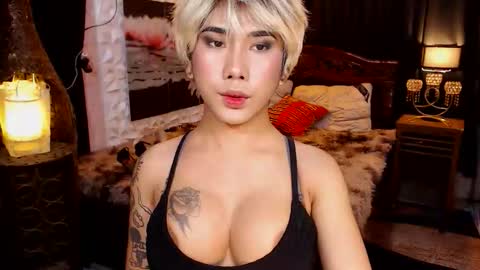 transpornidol online show from February 13, 2026, 7:10 pm