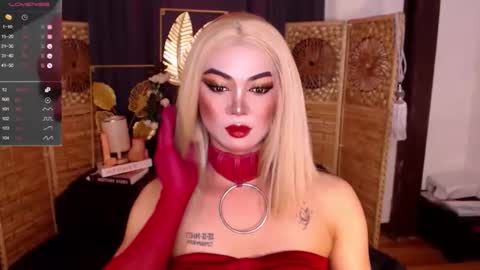 transsitips online show from April 26, 2026, 11:57 pm