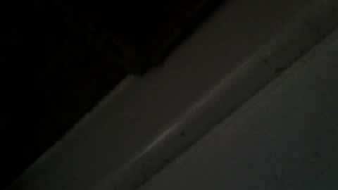 transyfansy online show from July 23, 2026, 7:17 am
