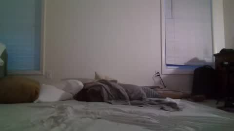 Snapshot of trickquestion chatting on February 8, 2025, 11:44 am trickquestion online show from February 8, 2025, 11:44 am