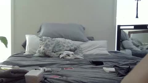 trickquestion online show from February 19, 2026, 8:49 pm