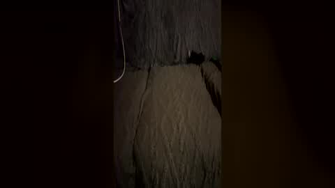trickydick6 online show from July 6, 2026, 6:43 am
