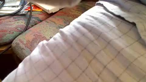Snapshot of trobelle chatting on April 26, 2026, 8:56 am trobelle online show from April 26, 2026, 8:56 am