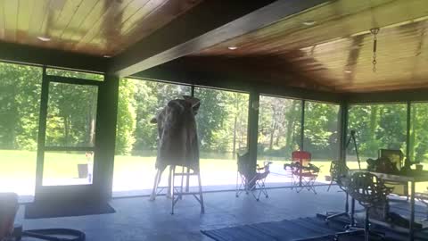 trojanswingers online show from June 2, 2026, 6:32 pm