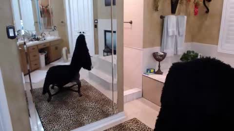 Trophy Wifey  iframe src height528 width850 s online show from February 19, 2026, 8:21 am