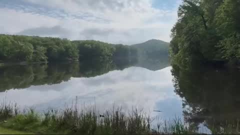 Snapshot of trystoph chatting on February 21, 2026, 1:56 pm Treistoph online show from February 21, 2026, 1:56 pm