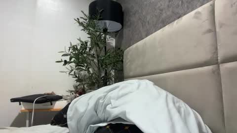 Snapshot of ts_danielahugecock_xxx chatting on February 2, 2026, 5:17 am ts_danielahugecock_xxx online show from February 2, 2026, 5:17 am