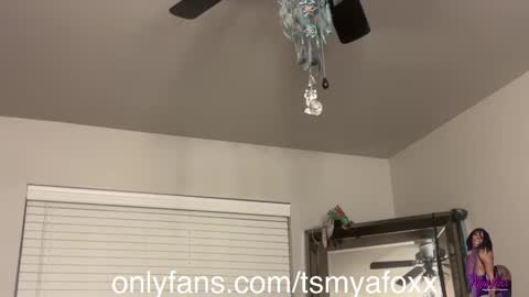 Snapshot of tsfoxx chatting on December 11, 2024, 12:34 pm tsfoxx online show from December 11, 2024, 12:34 pm