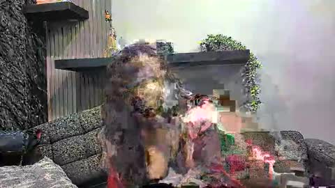 Lexi Longg online show from March 3, 2026, 2:01 pm