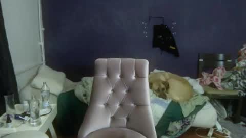 Snapshot of turkishtranswithsurgery chatting on December 20, 2025, 1:51 pm turkishtranswithsurgery online show from December 20, 2025, 1:51 pm