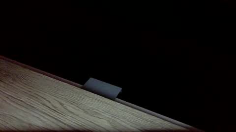 tvstefanie1 online show from December 1, 2024, 8:42 pm