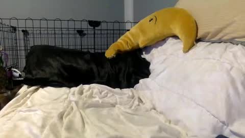 Snapshot of twinkybell chatting on October 27, 2025, 4:27 am twinkybell online show from October 27, 2025, 4:27 am