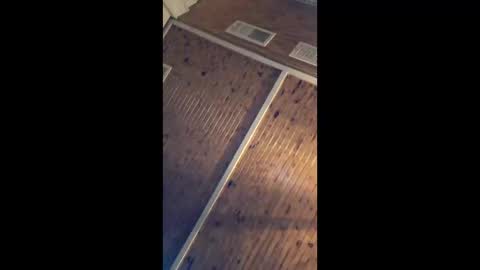 twistercouple3371 online show from March 17, 2026, 4:28 am