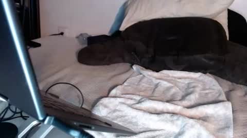 Snapshot of twotoneexhibitionist chatting on August 2, 2026, 7:29 am ThickCurvedCock online show from August 2, 2026, 7:29 am