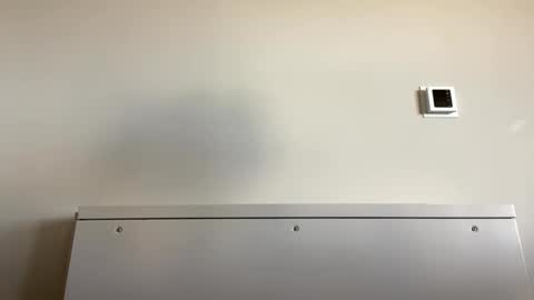 Snapshot of tylercameron28 chatting on September 21, 2025, 6:09 pm TylerC online show from September 21, 2025, 6:09 pm