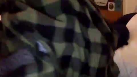 Snapshot of tylerdurden256 chatting on February 15, 2025, 1:38 pm Tyler Durden online show from February 15, 2025, 1:38 pm