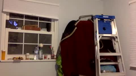 Snapshot of tylerdurden256 chatting on February 17, 2025, 7:15 am Tyler Durden online show from February 17, 2025, 7:15 am